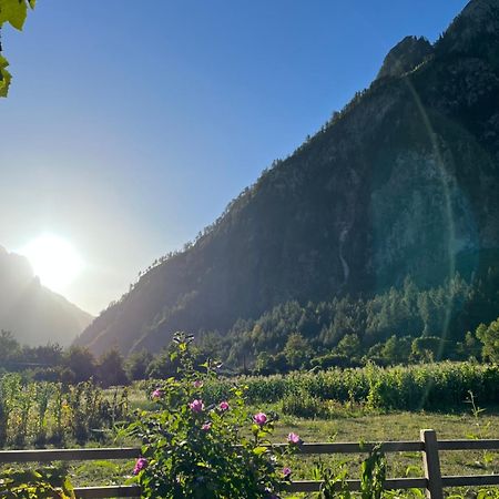 Guesthouse Gezim Selimaj Valbona Kültér fotó